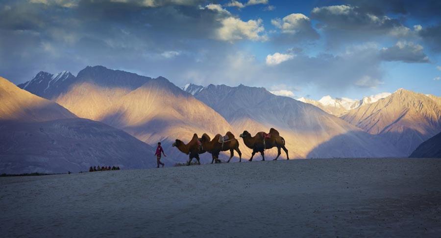 Chamba Camp Diskit Valle di Valle di Nubra Esterno foto