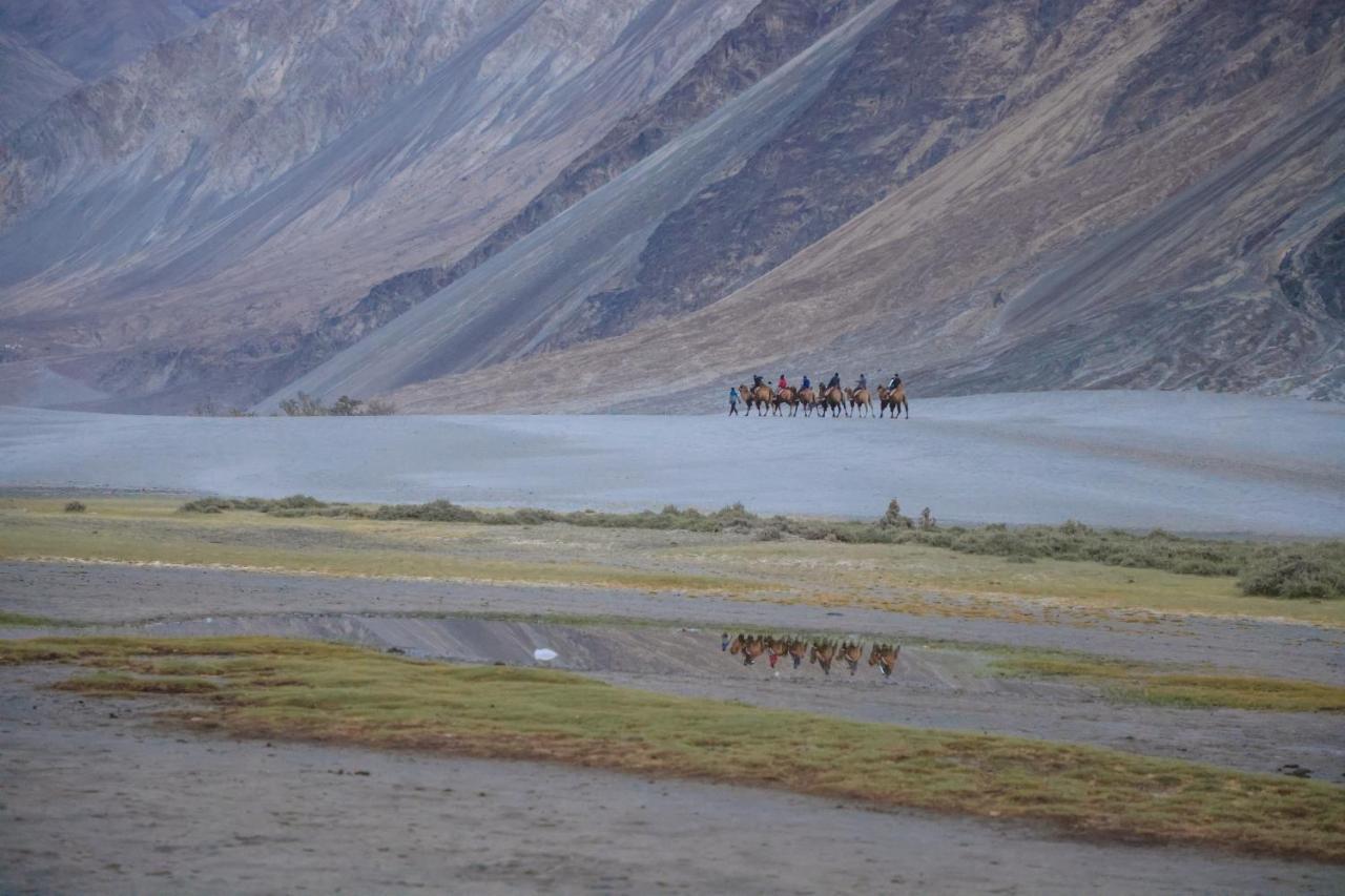 Chamba Camp Diskit Valle di Valle di Nubra Esterno foto