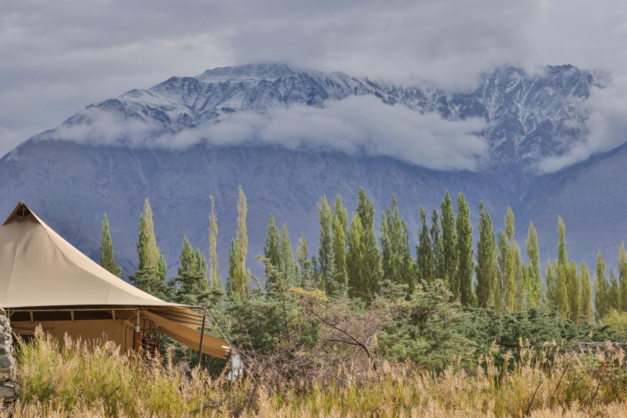 Chamba Camp Diskit Valle di Valle di Nubra Esterno foto