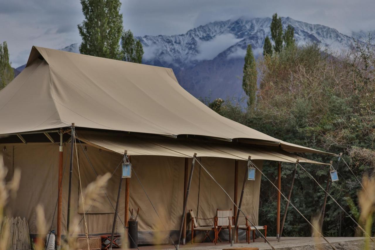 Chamba Camp Diskit Valle di Valle di Nubra Esterno foto