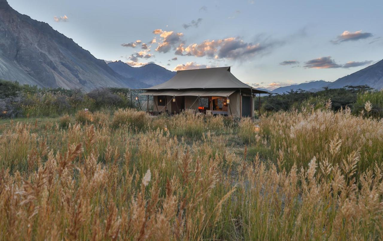 Chamba Camp Diskit Valle di Valle di Nubra Esterno foto